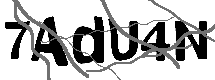 Loading CAPTCHA Image...